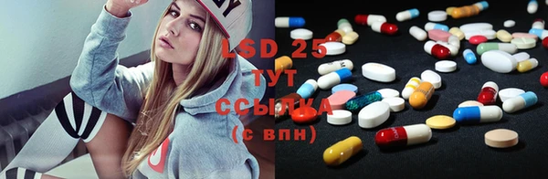 крисы Абаза