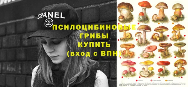 круглые Алзамай