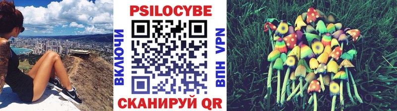 Псилоцибиновые грибы Magic Shrooms Чердынь